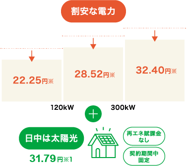 従量電灯プラン